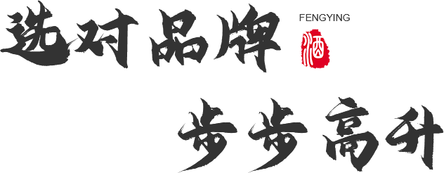 选对品牌 步步高升